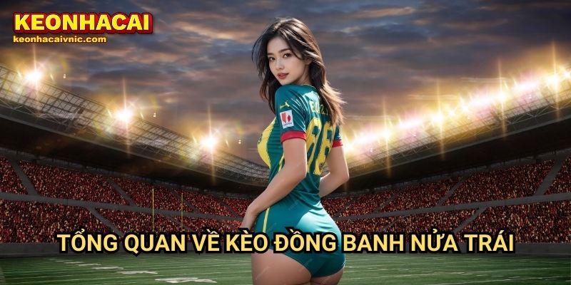 Kèo Đồng Banh Nửa Trái Là Gì? Hướng Dẫn Đặt Cược Tại Keonhacai vnic 2 Tổng quan về kèo đồng banh nửa trái