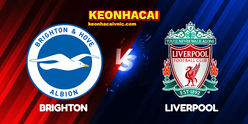 Soi Kèo Trận Đấu Brighton vs Liverpool Ngày 20/05/2025 – Premier League 2 Brighton vs Liverpool